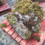 Large Weathered Limestone Feature Stones