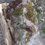 Pallet Large Feature Stone - Image 5