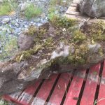 Pallet Large Feature Stone - Image 11