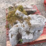 Pallet Large Feature Stone - Image 2
