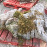 Pallet Large Feature Stone - Image 6